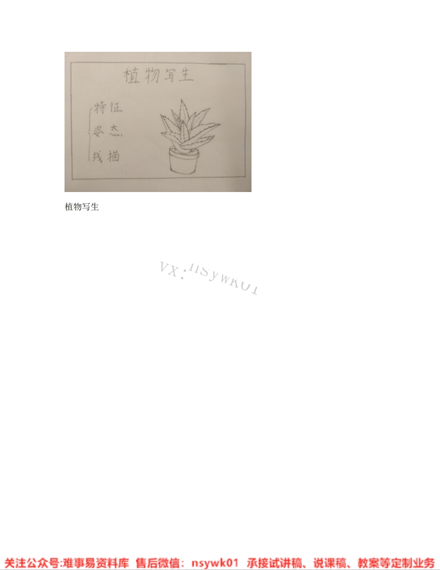 人美版-美术四年级下册《01.第1课植物写生》试讲逐字稿-难事易资料库