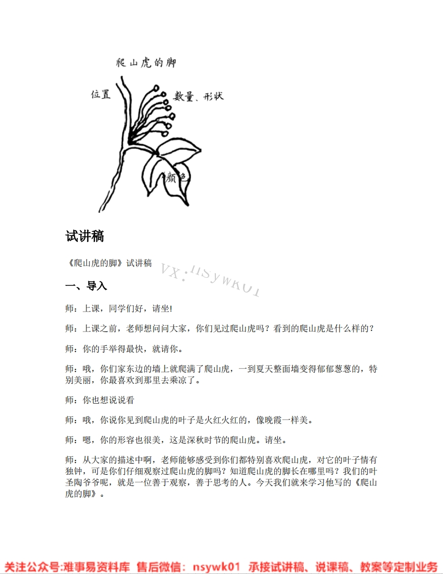 四年级上册-统编版《16.爬山虎的脚》试讲逐字稿-难事易资料库